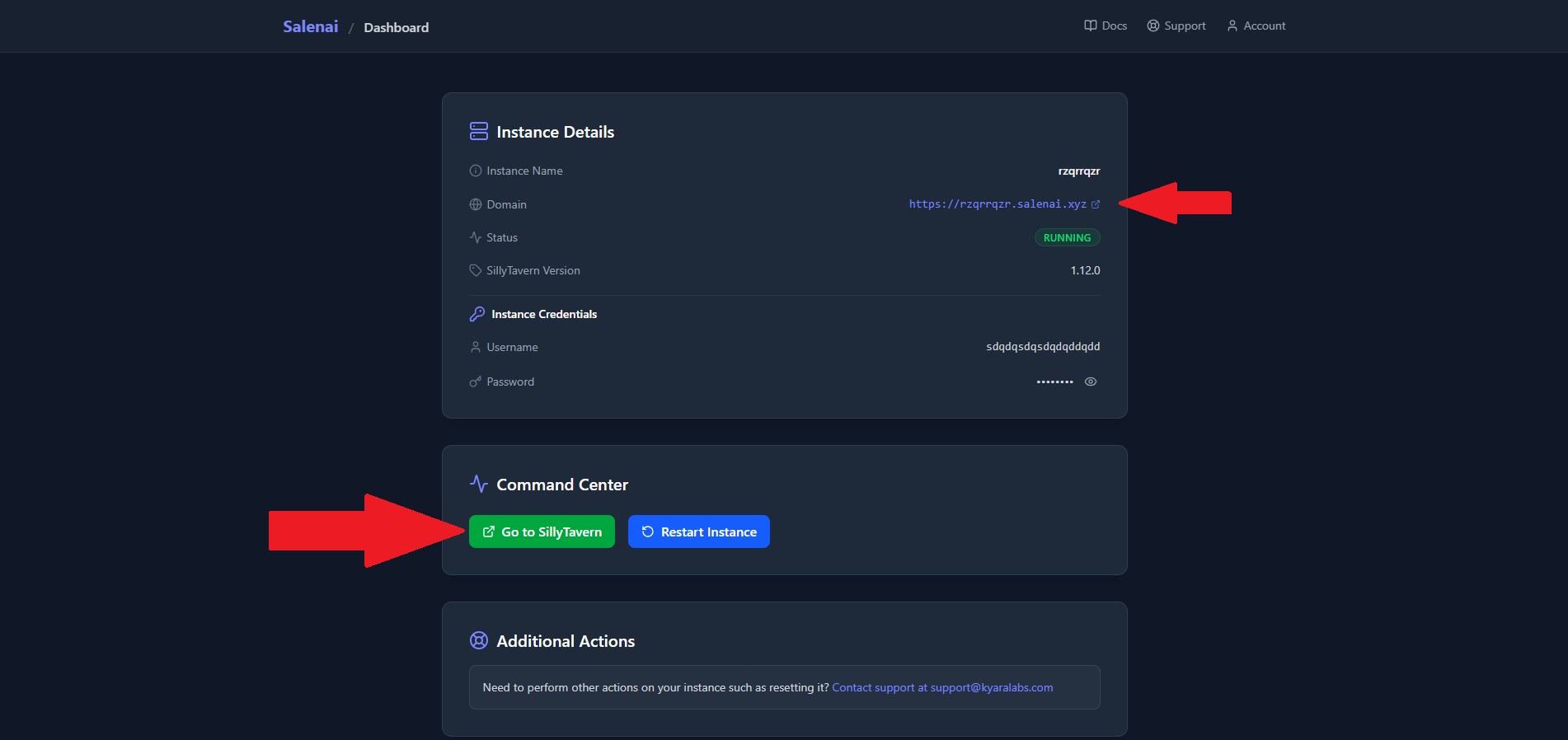 SCREENSHOT: Salenai's dashboard showing the newly created instance link.